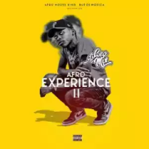 Dj Léo Mix - Experience
